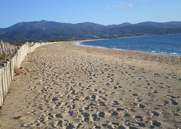 Parking Gratuit Grande Terrasse Proche Centre 公寓 阿雅克肖